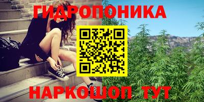 MDMA Premium VHQ Кудрово