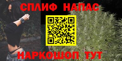 гидра Кудымкар