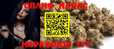 гидра Кудымкар