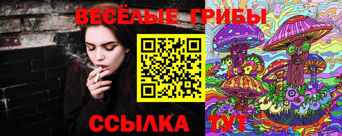 как найти   Псилоцибиновые грибы ЛСД  Вход с VPN  Псилоцибиновые грибы Psilocybe  Верхняя Пышма 